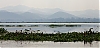 Birmanie_-5-.jpg