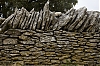 Bori_28129.jpg