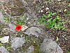 D21036DF-F473-4AB2-B8D6-969FB70CD0B7.jpeg
