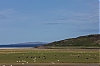 Ecosse_-9-.jpg