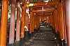 Fushimi-Inari_12.jpg