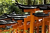 Fushimi-Inari_16.jpg