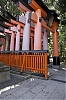 Fushimi-Inari_1_-1-.jpg