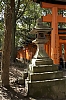 Fushimi-Inari_2_-1-.jpg