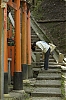 Fushimi-Inari_4_-1-.jpg