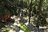 Fushimi-Inari_9.jpg