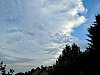 IMG_0004.jpeg