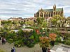 IMG_0863.jpg