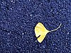 IMG_0918.jpg