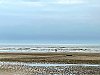 IMG_1498.jpeg