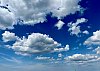 IMG_1844.jpeg