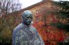 IMG_2837_1verlaine.jpg