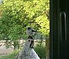 IMG_3348_28129.jpg