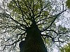 IMG_4829_28429.jpg