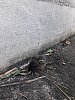 IMG_6778.jpg