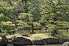 Japon_42.jpg