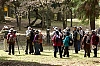 Japonais_-1-~1.jpg