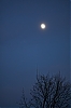 Lune.jpg