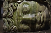 Meduse_28129.jpg