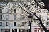 Paris_-4-.jpg
