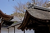 Rionji_-4-.jpg