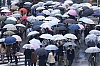 Shibuya_-2-.jpg