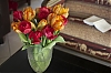 Tulipes.jpg