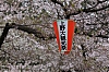 Ueno_1.jpg