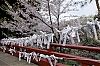 Ueno_2.jpg