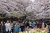 Ueno_3.jpg