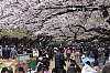 Ueno_9.jpg