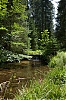 Vosges_1_-1-.jpg