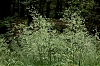 Vosges_7.jpg
