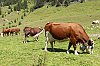 _MG_0030_DxO.jpg