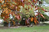 _MG_0119_DxO.jpg