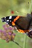 _MG_0142_DxO.jpg