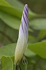 _MG_0314_DxO.jpg