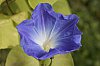 _MG_0334_DxO.jpg
