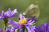 _MG_0346_DxO.jpg