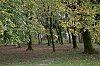 _MG_0381_DxO.jpg