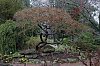 _MG_0382_DxO.jpg