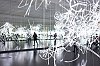 _MG_0450_DxO.jpg