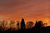 _MG_0539_DxO.jpg