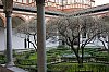 _MG_0620.jpg
