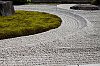 _MG_0720.jpg