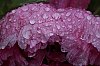 _MG_0848_DxO.jpg