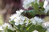 _MG_0866_DxO.jpg
