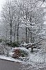 _MG_0911_DxO.jpg