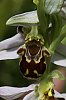 _MG_0961_DxO.jpg