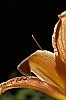 _MG_0965_DxO.jpg